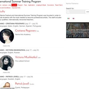 web design narnia arts academy