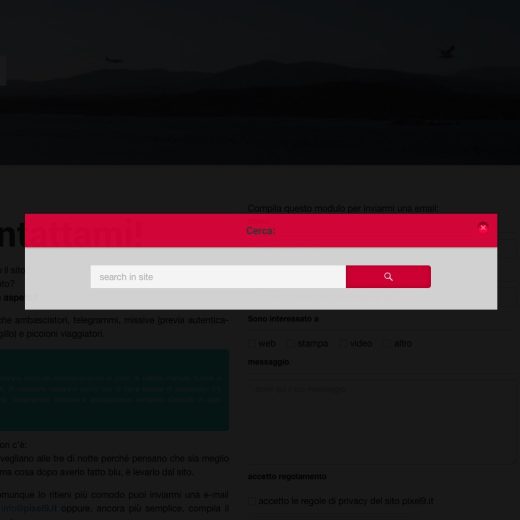 web design pixel9.it